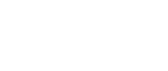 לוגו VFM