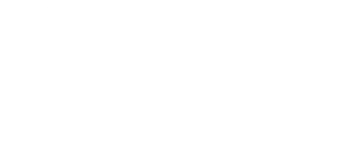 לוגו VFM